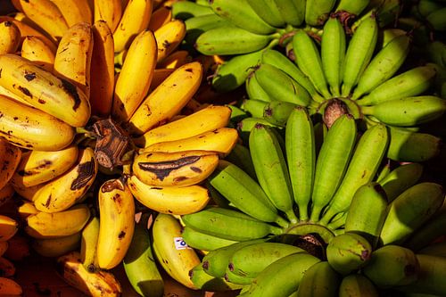 Yellow and green bananas