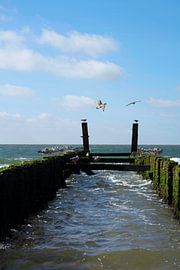 Breakwater at Zoutelande by Roland de Zeeuw
