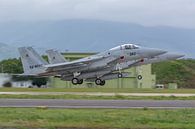 Take-off van 2 Japanse F-15J Eagles. van Jaap van den Berg thumbnail