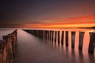 Sunset in Zoutelande by Damien Franscoise thumbnail