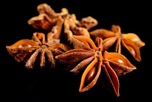 Steranijs op een zwarte achtergrond