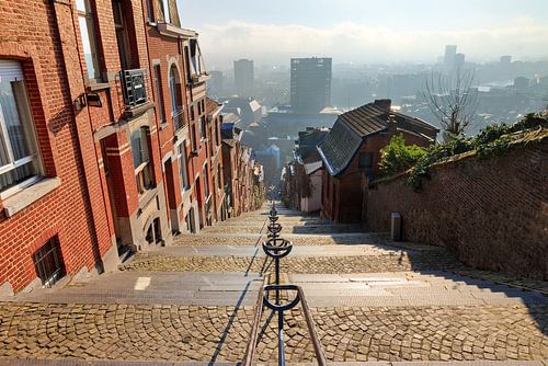 Uitzicht Montagne de Bueren Luik