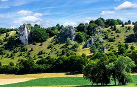 The nature reserve Trockenhänge near Dollnstein by ManfredFotos