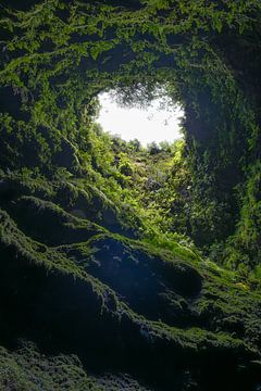 Groene tunnel naar het licht van Elbert-Jan Achterberg