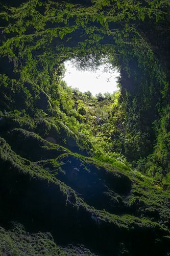 Green tunnel to the light