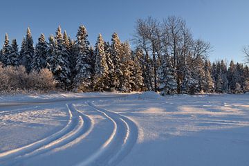 Sporen in de sneeuw van Claude Laprise