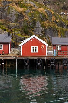 Rode huisje in Nusfjord van Danielle Kramer