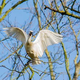 Barkasse bereit zum Abflug von Stephan Scheffer