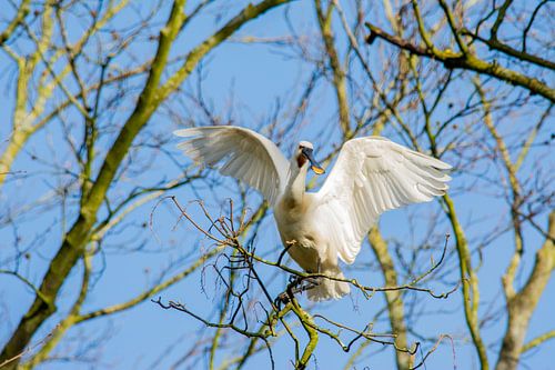 Barkasse bereit zum Abflug