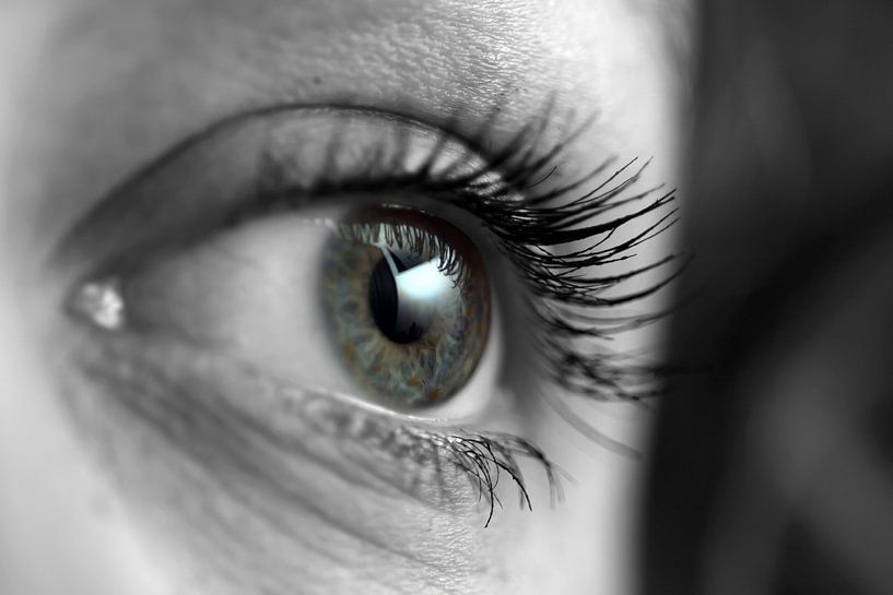 Depth of the eye by Martien Janssen