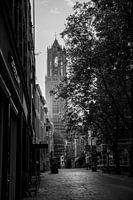 Tour Dom d'Utrecht