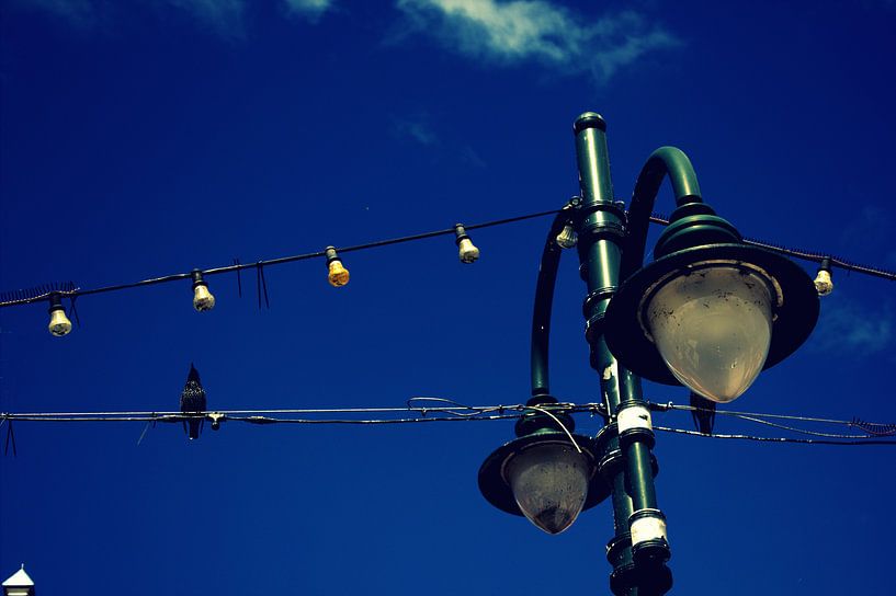 Street Lamp par Francisco de Almeida