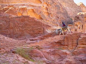 Bedoeïene op zijn ezel in Petra, Jordanië van Teun Janssen