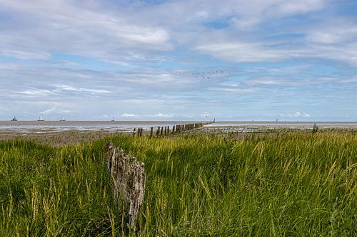 Aan de rand van de Waddenzee