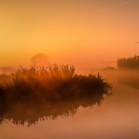 Le moulin se réveille dans le brouillard et au lever du soleil sur Tonny Visser-Vink