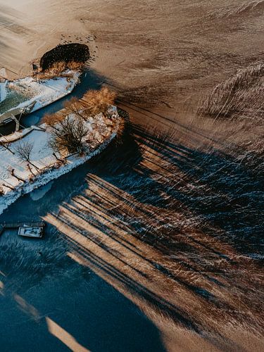 Zonsopkomst, waarbij een natuurlijk patroon ontstaat van het licht en de bomen op het ijs