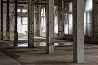 verlaten fabriek, urbex von Ada van der Lugt Miniaturansicht