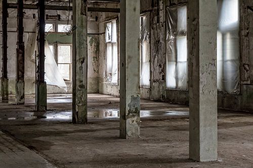 deserted factory, urbex
