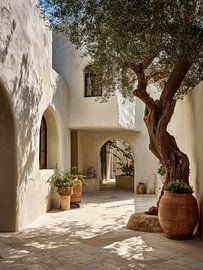 Mediterranean street with olive tree by IamHome Studio