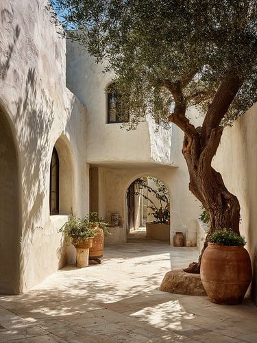 Mediterranean street with olive tree