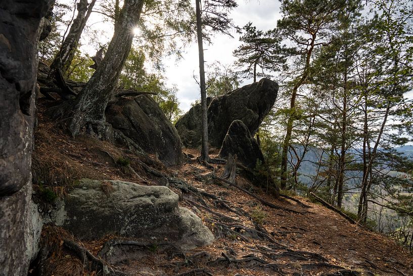 Obere Affensteinpromenade, Saxon Switzerland - Autumn forest Winterbergspitze by Pixelwerk