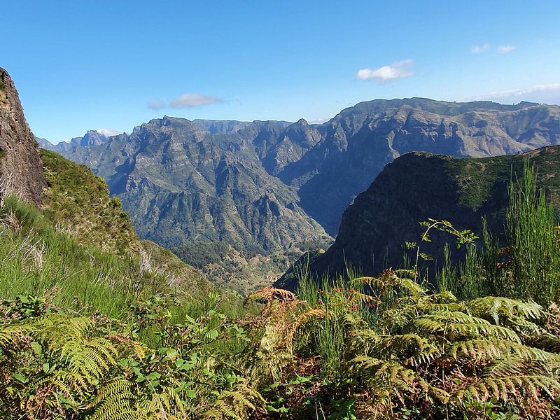 Madeira #5 by zam art