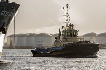 Remorqueur en action dans le port d'Amsterdam. sur scheepskijkerhavenfotografie
