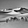 Niger. Sahara Desert. Camel caravan. by Frans Lemmens