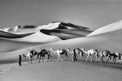 Niger. Sahara Desert. Camel caravan.