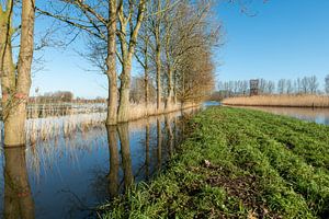 Die dommelbeemden in Sint Oedenrode