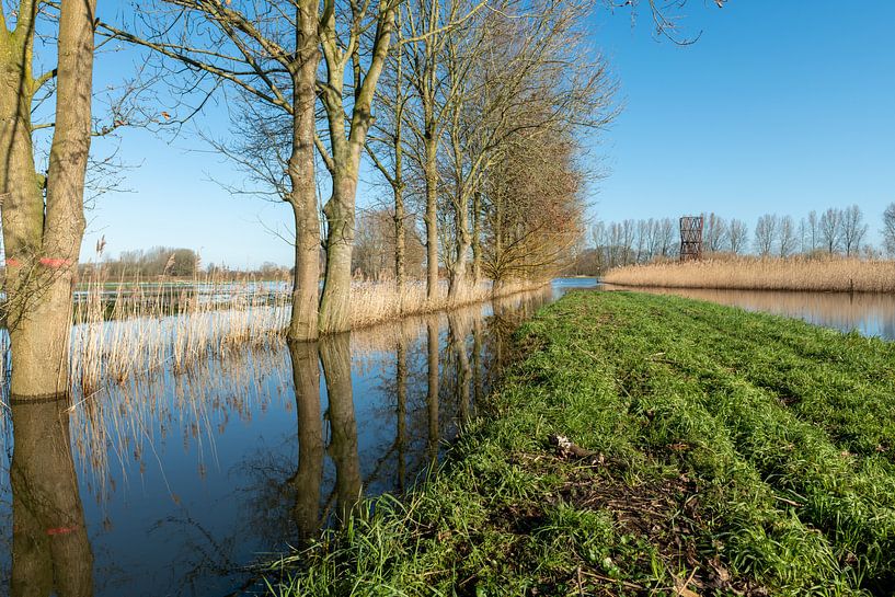 The dommelbeemden in Sint Oedenrode by Gerry van Roosmalen