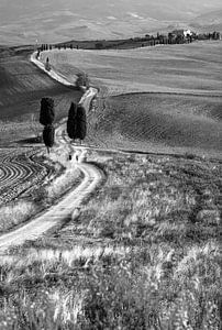 Gladiator's road. van Filip Staes