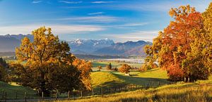 Herbst über Murnauer Moos mit Blick auf Zugspitze