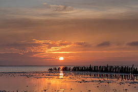Sonnenuntergang auf den dänischen Watteninseln