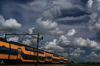 Train in the polder