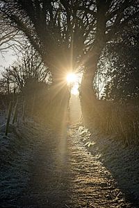 Himmlischer Sonnenaufgang in Elzet