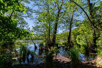 Lac Hertha, parc national de Jasmund, île de Rügen sur GH Foto & Artdesign