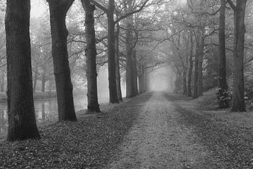 Schwarz-Weiß-Foto von einem nebligen Weg entlang eines Kanals von Raaf