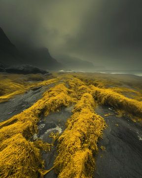Strandwandeling in IJsland van fernlichtsicht