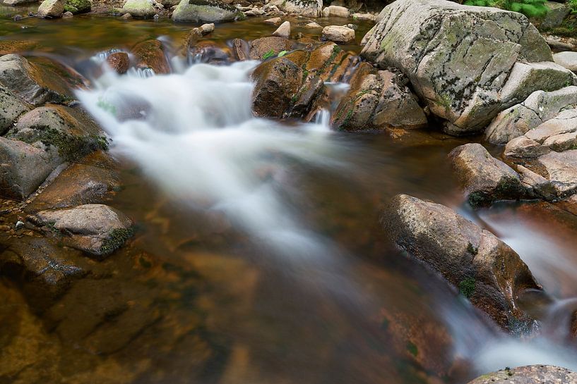 the river Ilse near Ilsenburg in the forest at the foot of the Brocken in the Harz National Park in  by Heiko Kueverling