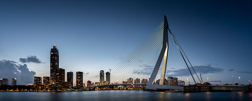 The Erasmus Bridge and Rotterdam by night