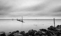 Houtribdijk Schwarzer und weißer Rest.
