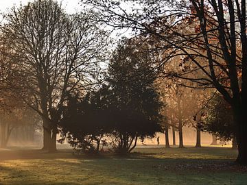 Brouillard matinal 15