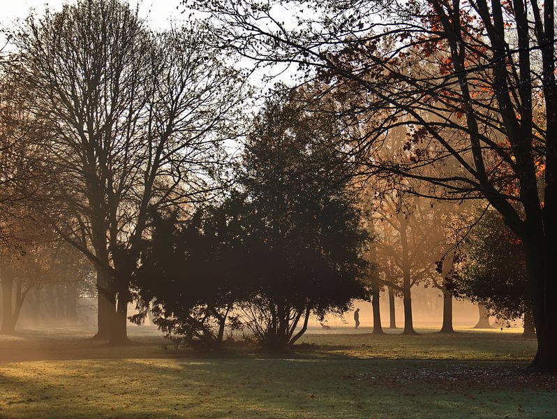 Brouillard matinal 15 par Edgar Schermaul