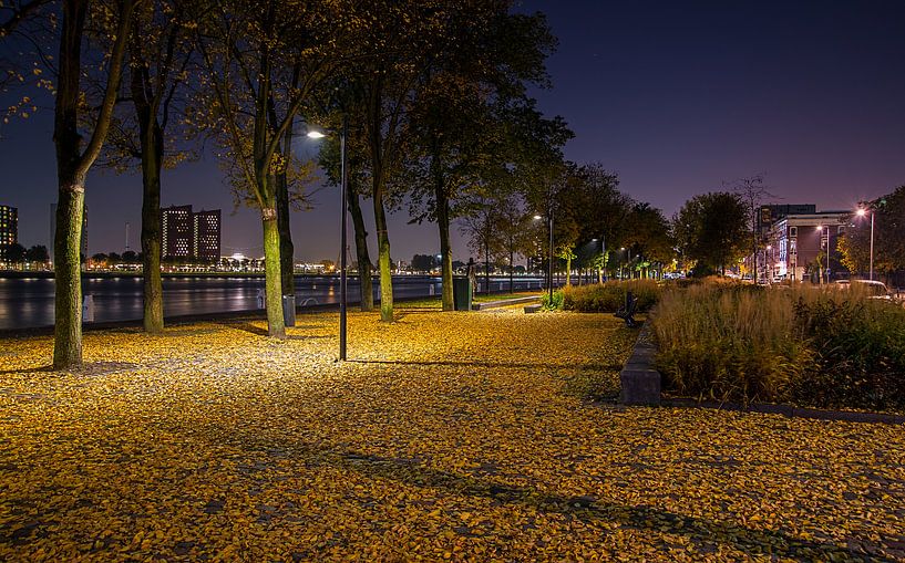 hersft aan de parkkade in Rotterdam van Eisseec Design