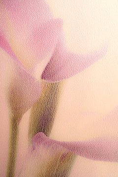 Bloemen romantiek in warme tinten roze en paars van Lisette Rijkers
