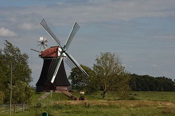 Windmolen Wynhamster Kolk van Klaas Leguit