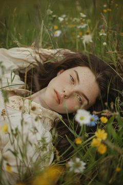 Beauty in the blooming meadow by Poster Art Shop