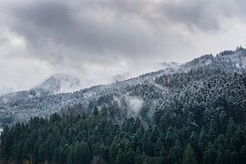 Nuages blancs chargés de neige et montagnes couvertes d'arbres dans le panorama de la forêt noire sur adventure-photos