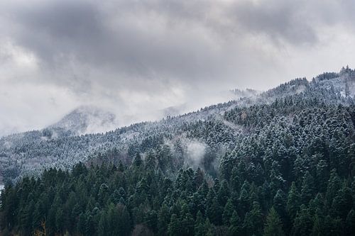 Witte wolken vol sneeuw en bergen bedekt met bomen in het zwarte bos panorama